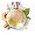 Floratta Gold Desodorante Colônia 75ml